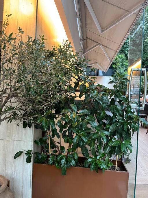Ksenokratous-Kolonaki Cozy Apartment 雅典 外观 照片